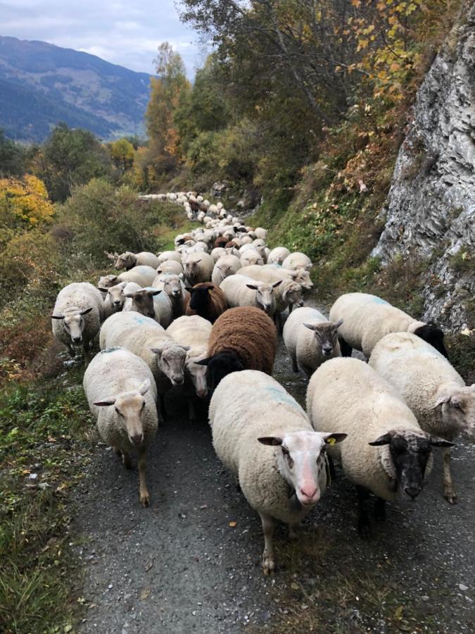 Hotel Grand-Combin Fionnay 外观 照片